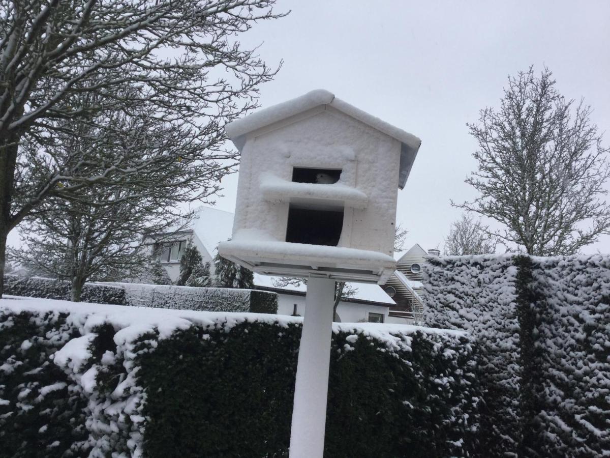 B&B Colombe Blanche Knokke-Heist Exterior foto